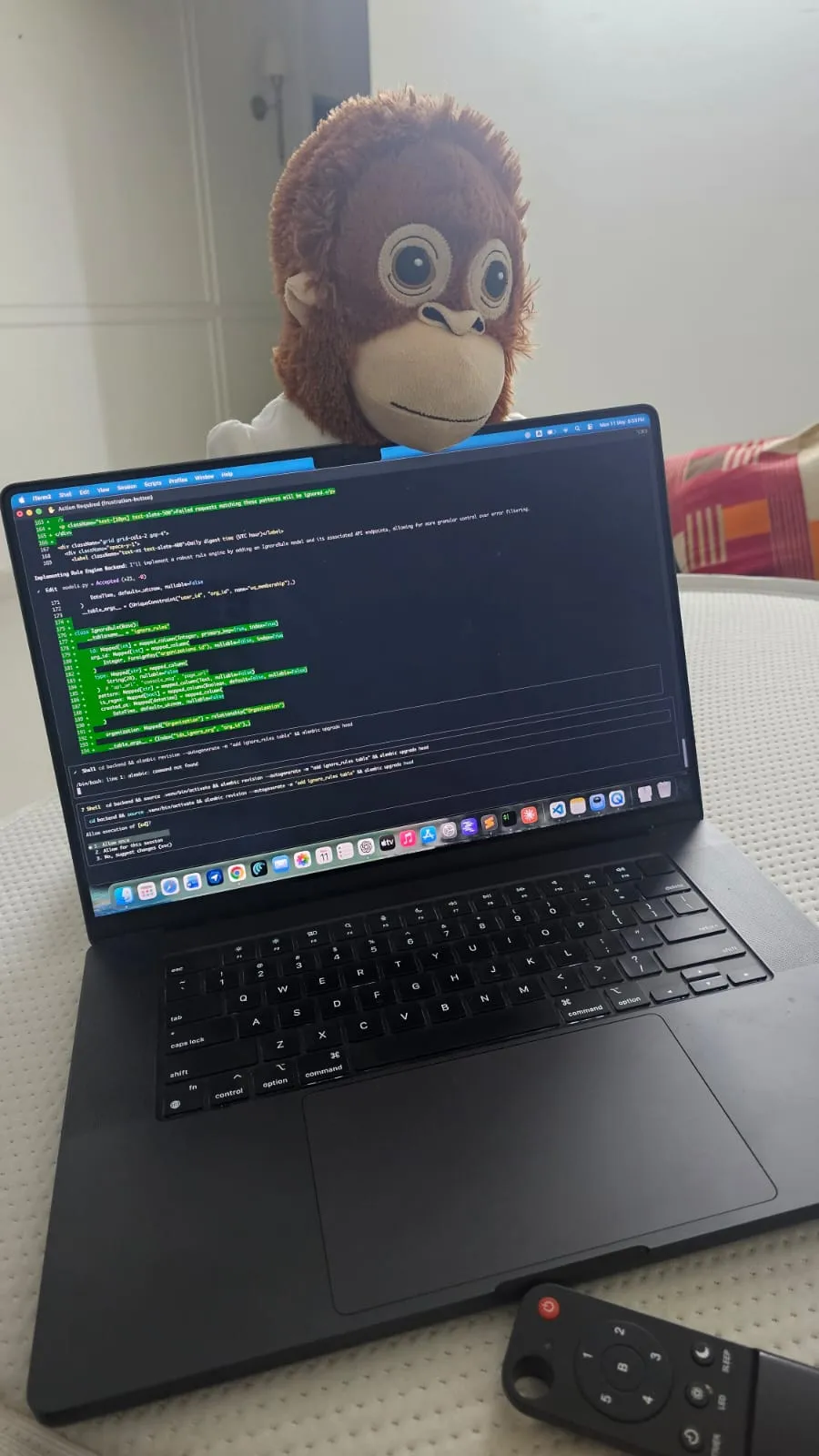 My pair-programmer peering over the laptop